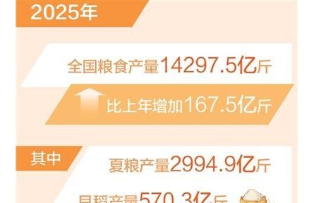 全年糧食生產(chǎn)再次實(shí)現(xiàn)高位增產(chǎn)