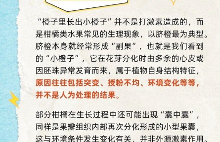 橙子里的“小橙子”有激素不能吃嗎？