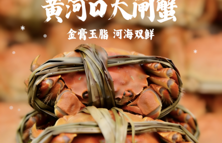 誰說冬天是淡季？看“魯大壯”的冬日豐收?qǐng)D鑒！