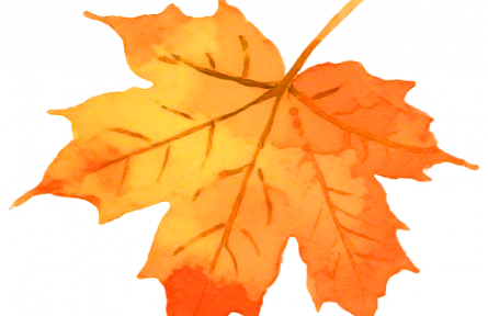 2025家鄉(xiāng)“特”“優(yōu)”農(nóng)產(chǎn)品“大學(xué)生推薦官”公益行動(dòng)（第1季）圓滿收官