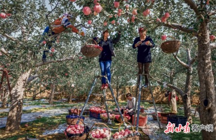 甘肅：全國(guó)名特優(yōu)新名錄再添18個(gè)“甘”字號(hào)農(nóng)產(chǎn)品