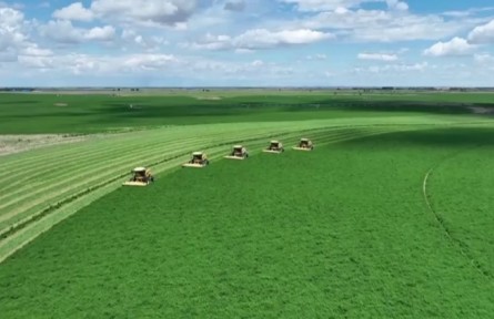 “十四五”時期我國草原生態(tài)得到全面改善