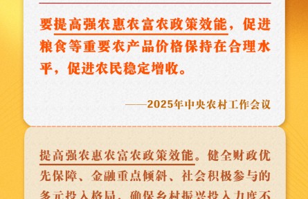 中央農(nóng)村工作會議關(guān)鍵提法之二：提高強農(nóng)惠農(nóng)富農(nóng)政策效能