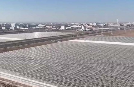 甘肅蘭州：智能培育+冷鏈保鮮 鮮切玫瑰暢銷海內外