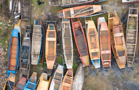 長江禁漁五年，發(fā)生了哪些變化？