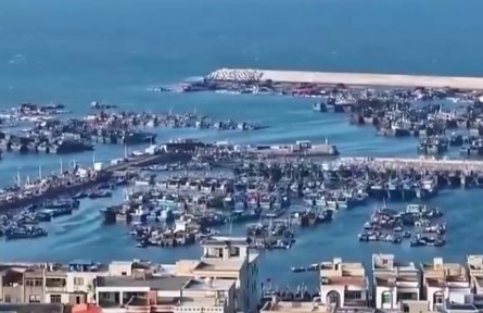 【“十五五”開好局起好步】奮發(fā)進取 繪就鄉(xiāng)村振興新圖景