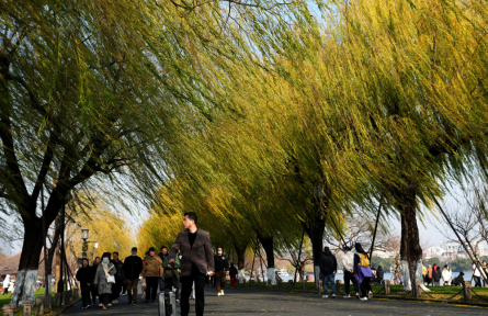 零廢物城市 zero-waste cities