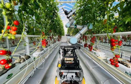 綠染沃野，生生不息——“十四五”農(nóng)業(yè)發(fā)展全面綠色轉(zhuǎn)型綜述