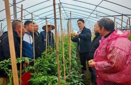 曾祥亮：扎根田野18年，他給莊稼當(dāng)醫(yī)生