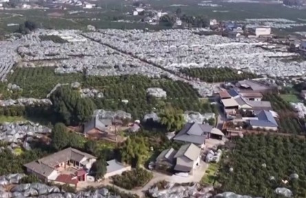 我國優(yōu)質(zhì)農(nóng)產(chǎn)品供給能力穩(wěn)步提升