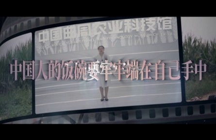 中國(guó)人的飯碗要牢牢端在自己手中