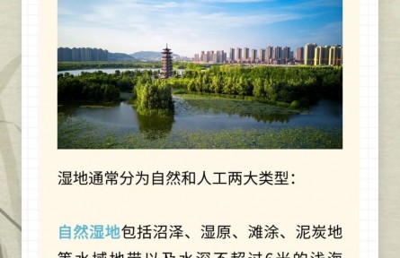 濕地何以被稱為“地球之腎”？