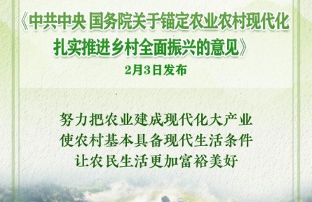 2026年中央一號文件發(fā)布