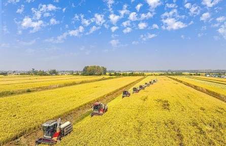 首提“常態(tài)化精準(zhǔn)幫扶”！2026年中央一號(hào)文件釋放哪些“新信號(hào)”？