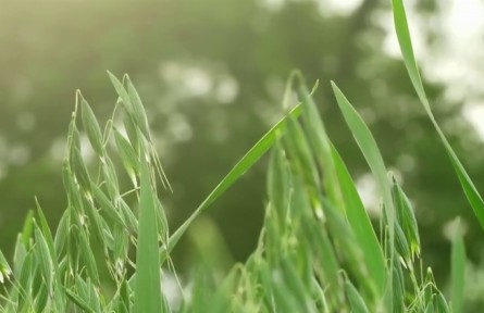 《首席科學(xué)家的故事》：金穗惠武川