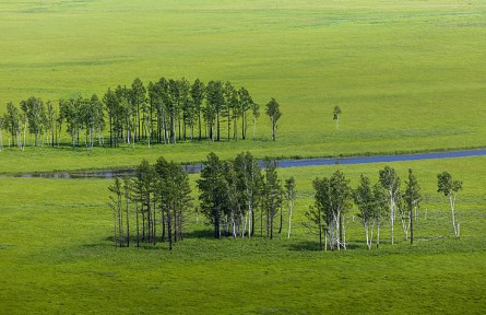 科技名詞|生態(tài)修復 ecological restoration