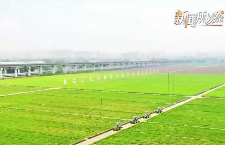 糧食明明“夠吃” 為何仍要繼續(xù)提升產(chǎn)能？