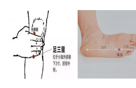 健康問答|春季養(yǎng)生要點有哪些？
