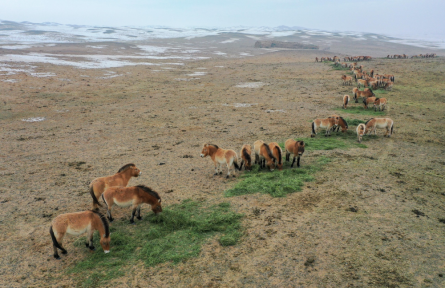 自然保護(hù)區(qū) nature reserves