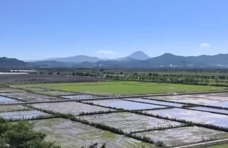 【新春走基層】當(dāng)“水稻老張”遇上“AI小張”