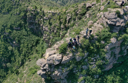 用中國(guó)草種守護(hù)中國(guó)草原