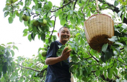 云南昆明：地理標(biāo)志產(chǎn)品成“金名片” 年產(chǎn)值超過2594億元