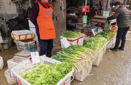 湖北武漢：蔬菜節(jié)后供應(yīng)充足 市場可見多種“1元菜”