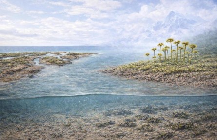 陸地上最早何時(shí)大規(guī)模出現(xiàn)植物？科學(xué)家有新發(fā)現(xiàn)