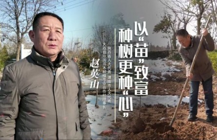 每日一星|趙英山：育“苗”致富 種樹更種“心”